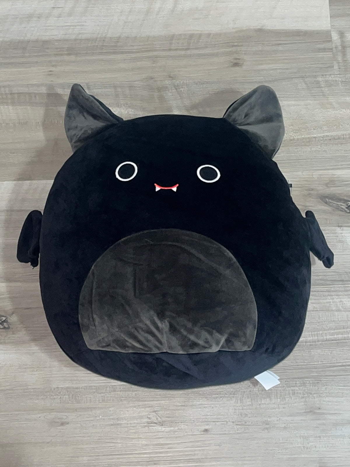 Emily The Cat-Bat Squishmallow