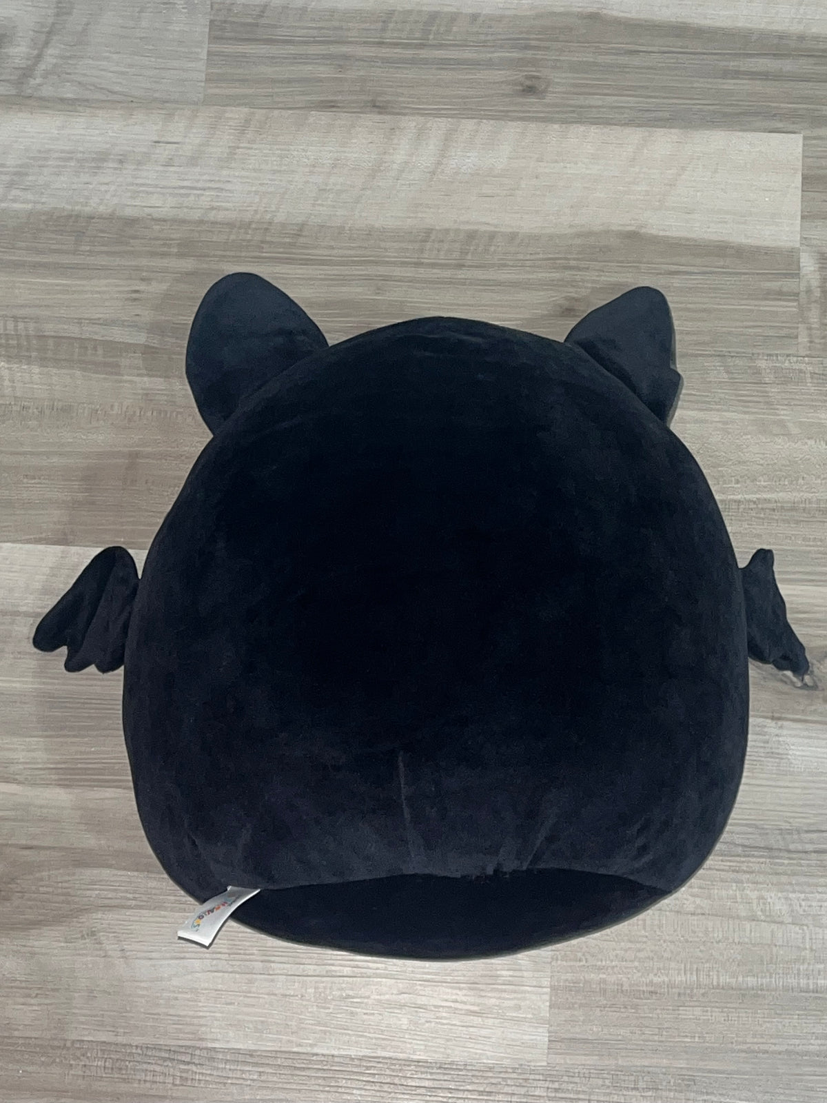 Emily The Cat-Bat Squishmallow