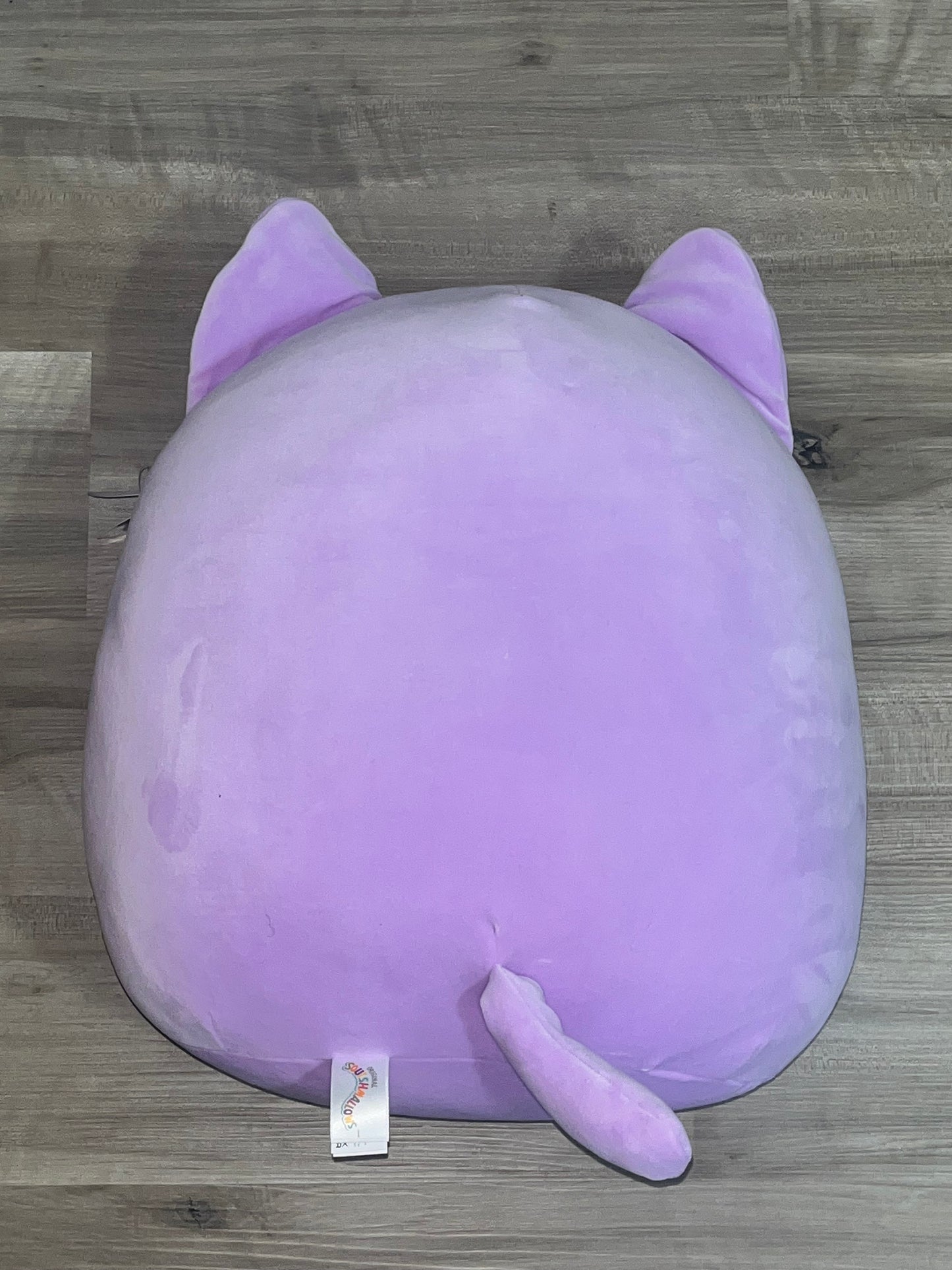 Mak The Flower Cat Squishmallow